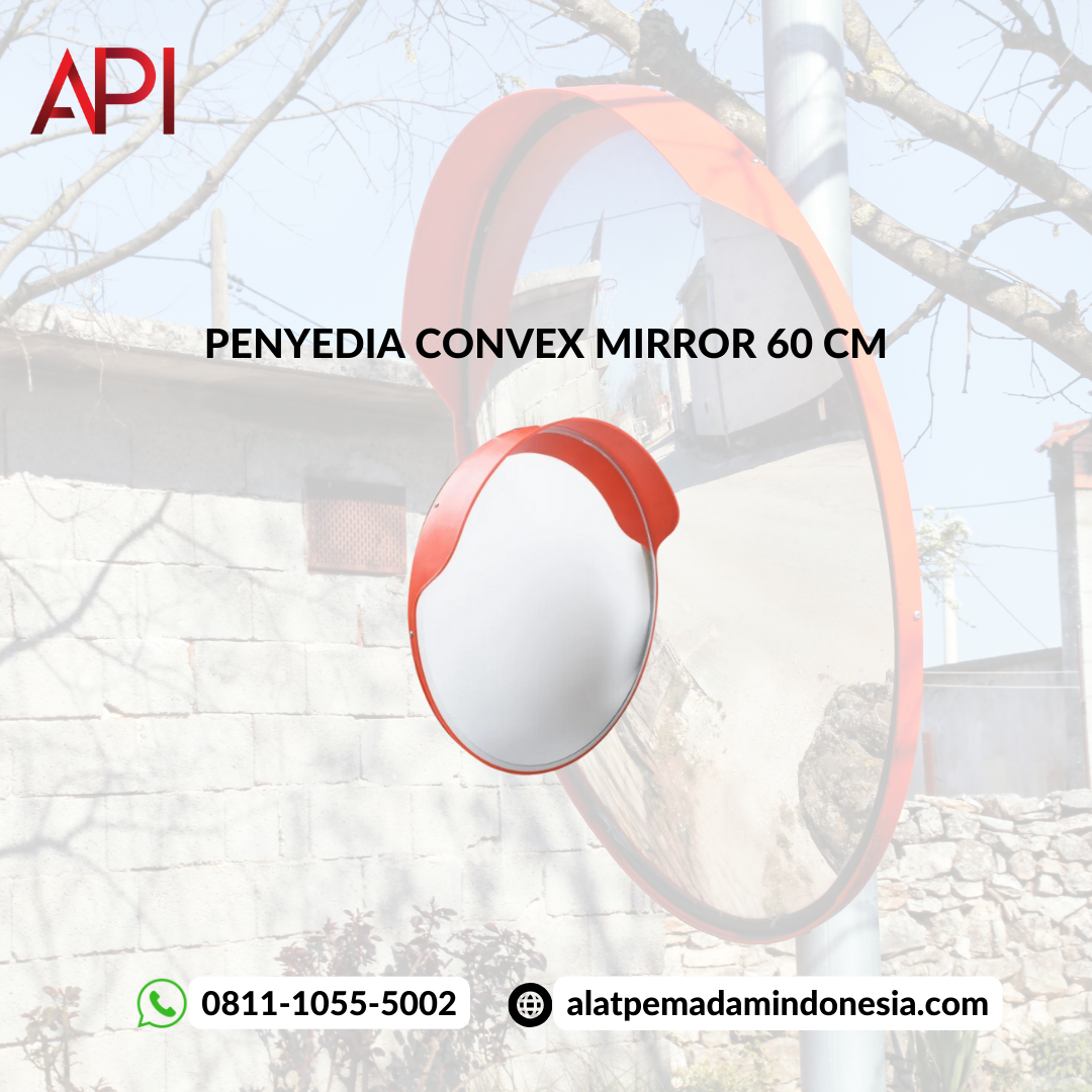 Pengertian Convex Mirror